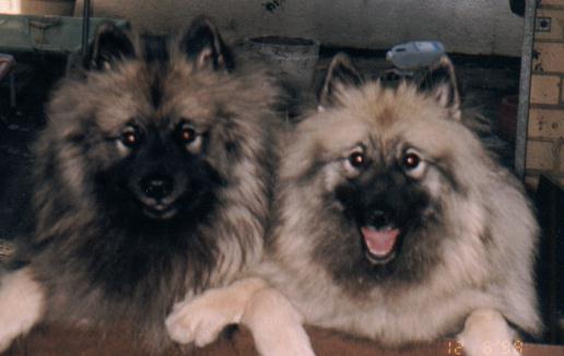 Mitchell & Holly