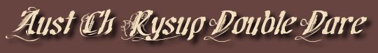 Rysup Double Dare