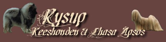 Rysup Main Title