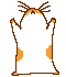 GP