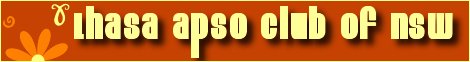 Lhasa Apso Club of NSW